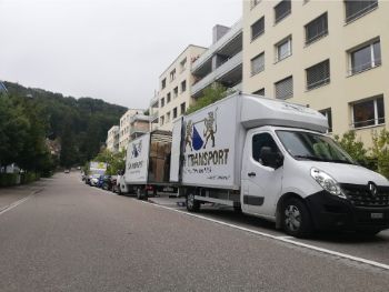 Qualitätiver Schweizer Umzug Transport Dachsen